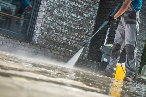 Best Graffiti Removal  in Robstown, TX