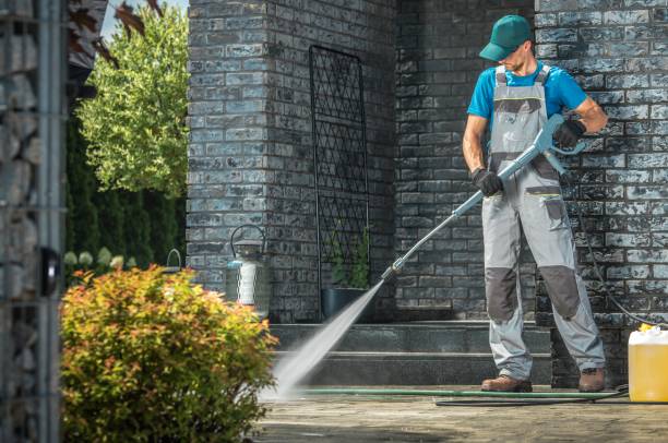 Best Sidewalk and Walkway Cleaning  in Robstown, TX