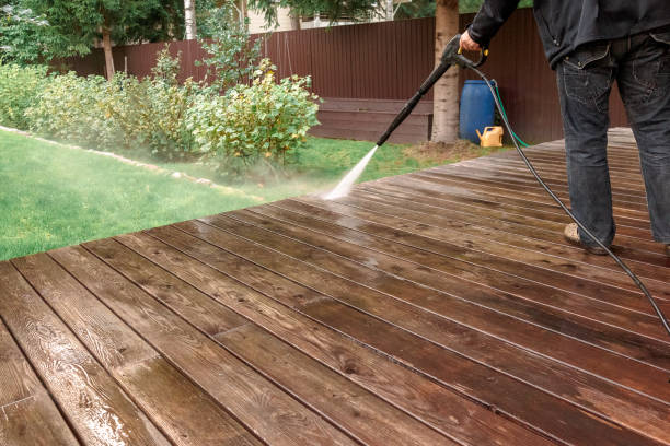 Best Residential Exterior Washing  in Robstown, TX